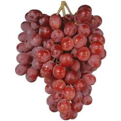 Grapes Red Globe American